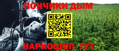 spice Владимир