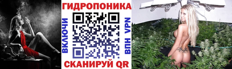 Канабис планчик  Купить где  Курган 